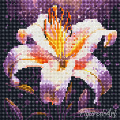 Mini Diamond Painting 25x25cm - Lily Bloom