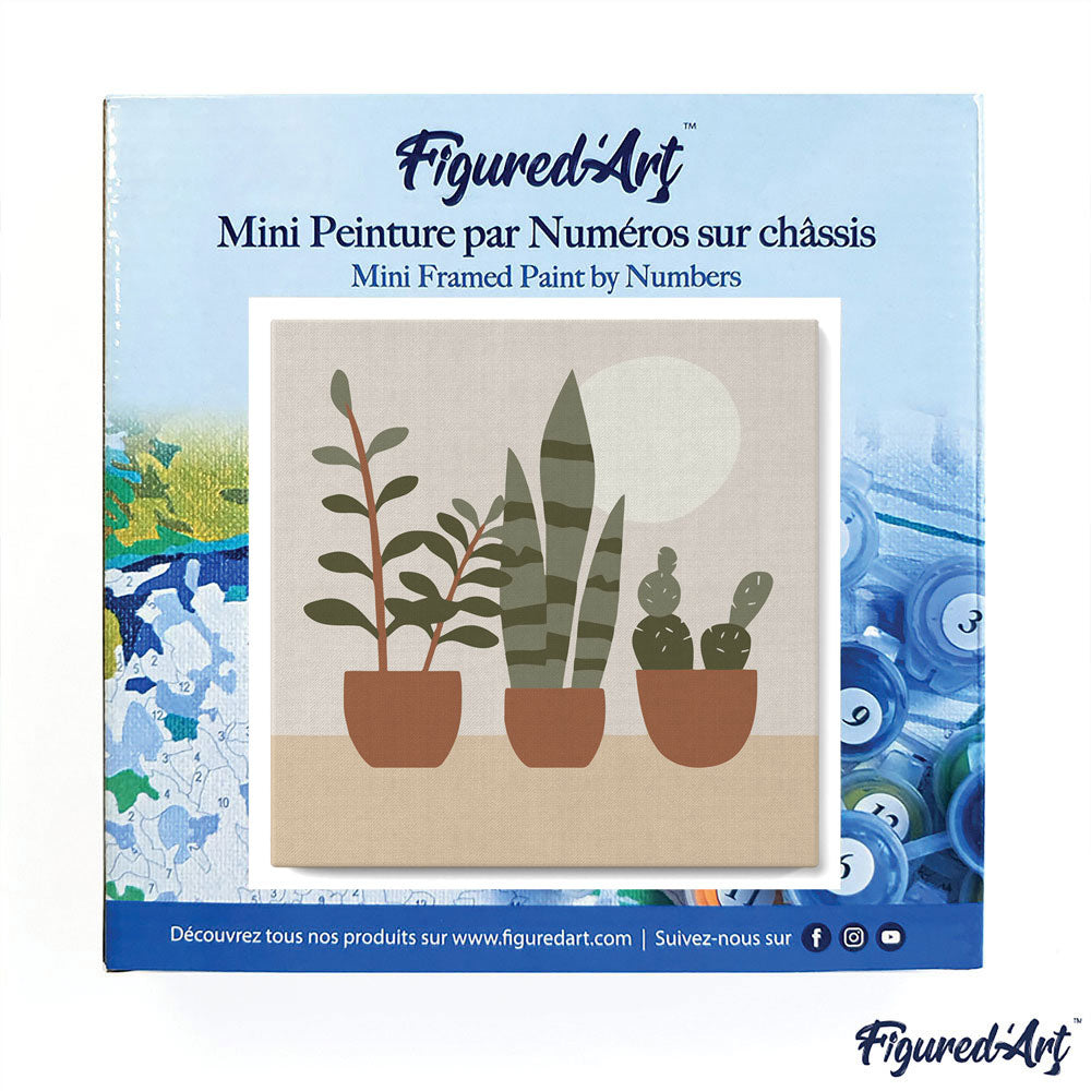 Mini Paint by numbers Three plant pots 20x20cm already framed