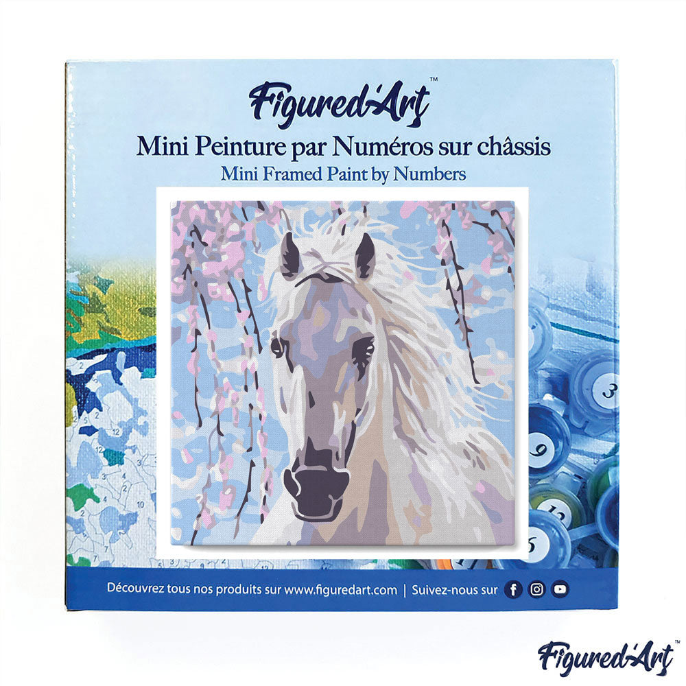 Mini Paint by numbers White Horse And Flowers 20x20cm already framed